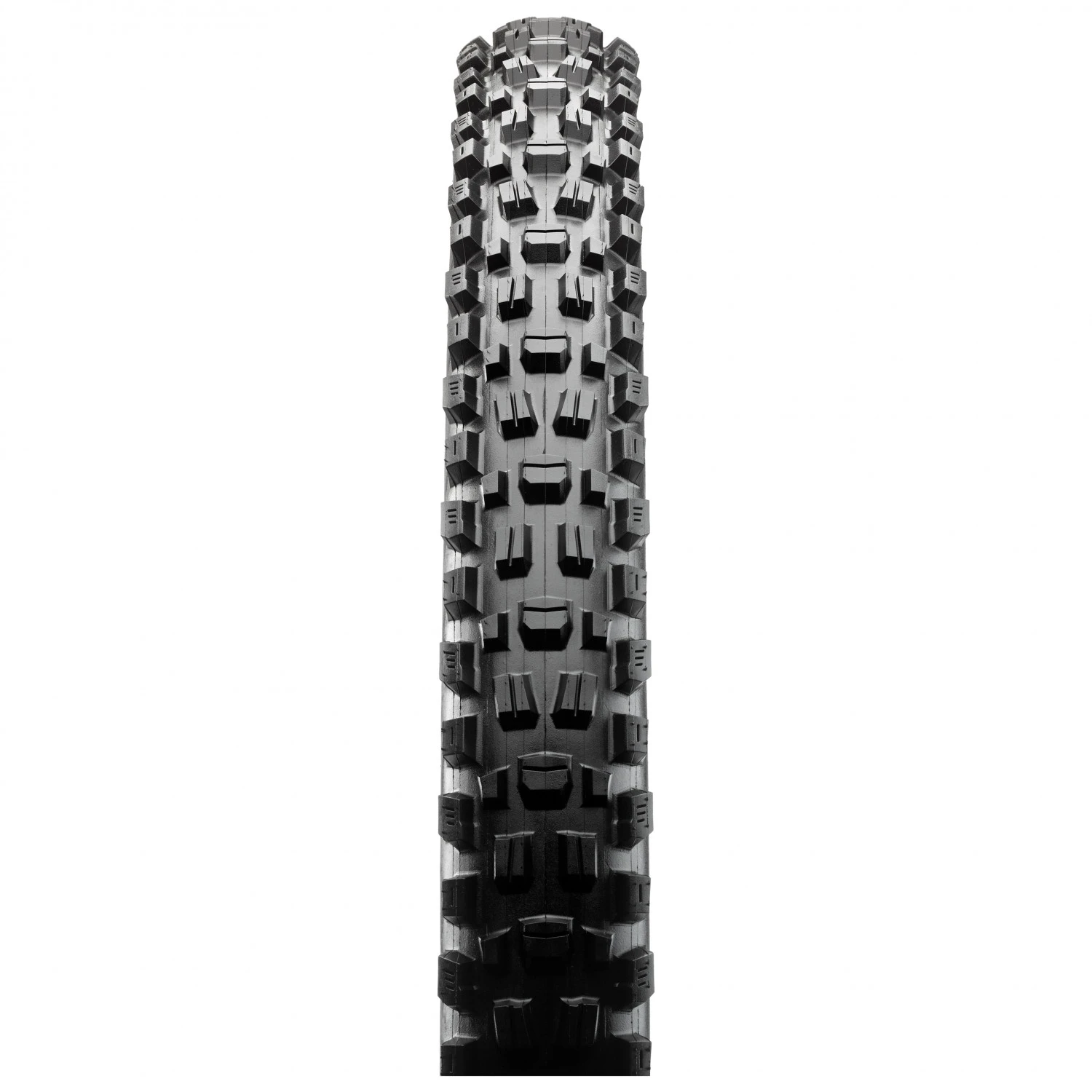 Maxxis - Assegai 29'' (63-622) WT 3C MaxxTerra EXO TR - Cyclocross Tyre - Image 2